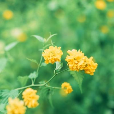 《经济信息联播》 20250726