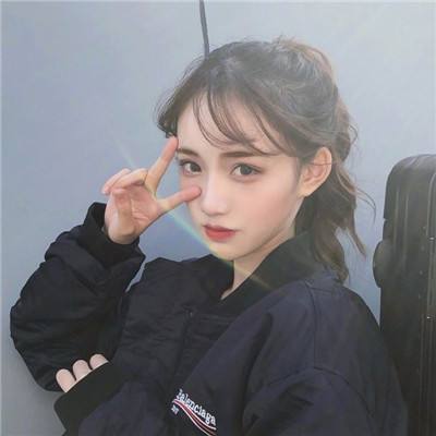花与剑3733游戏下载